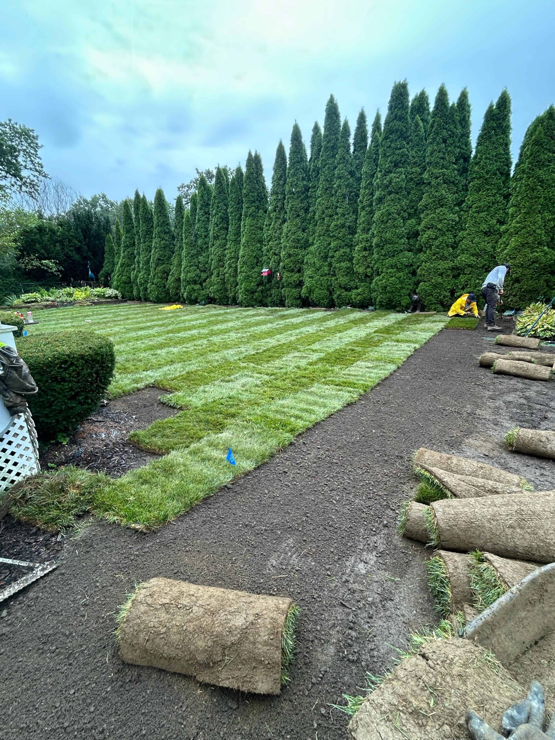 sod installation in massachusetts